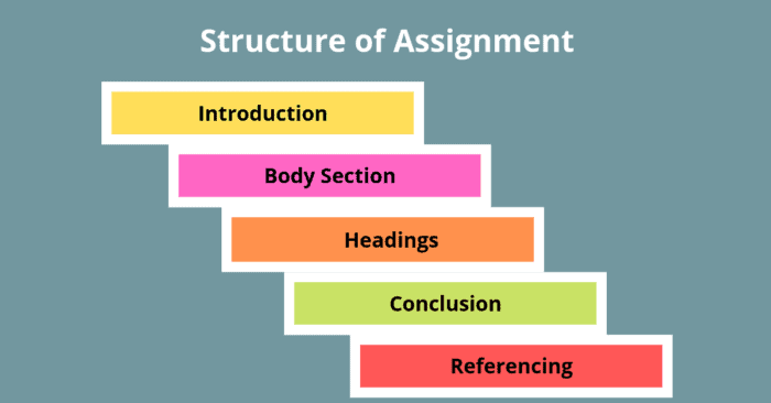 assignment structure types