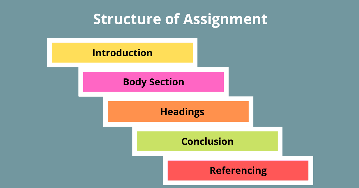 what is the basic structure of an assignment