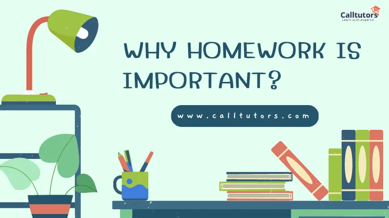 homework definition of terms