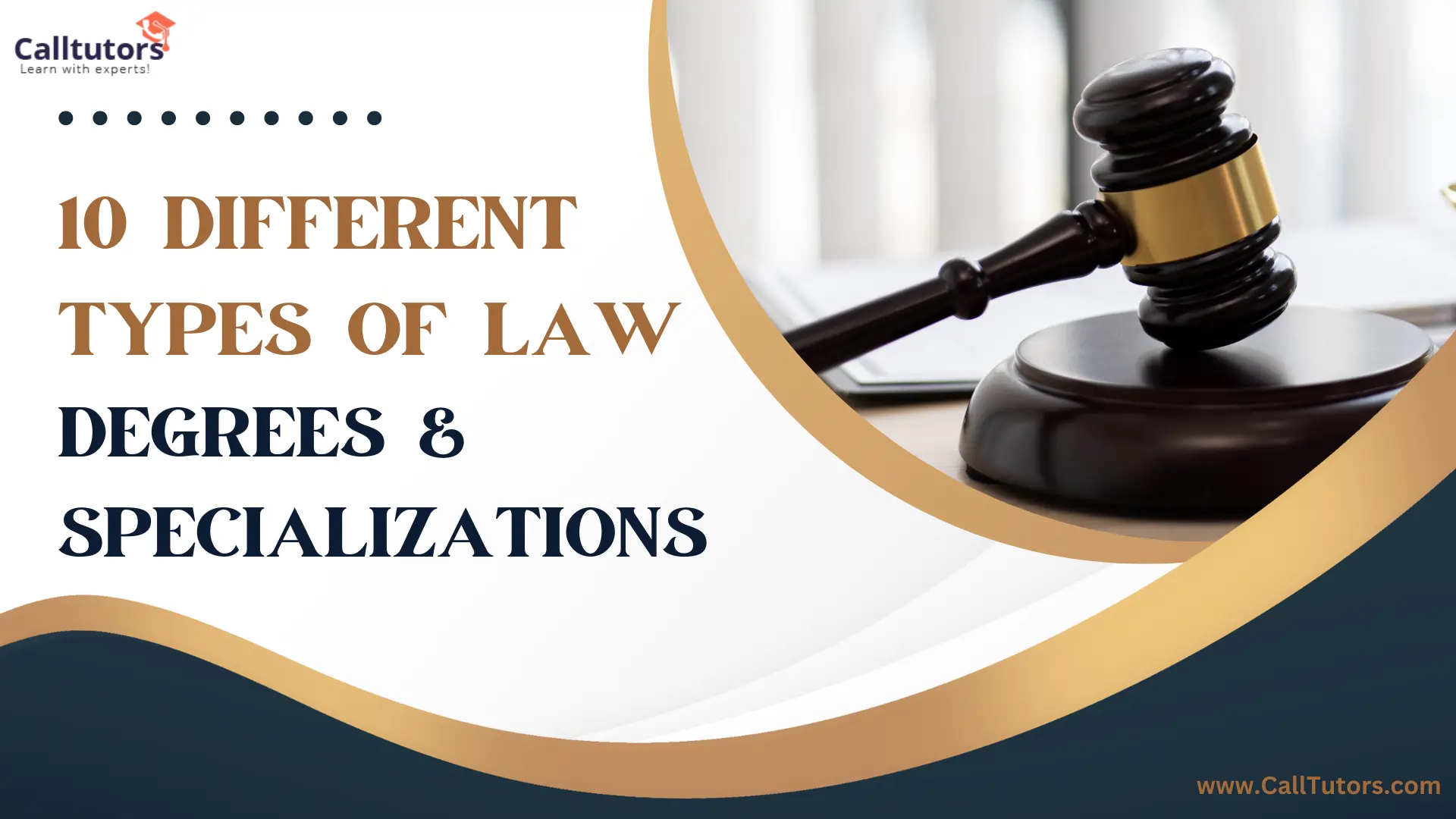 10 Different Types Of Law Degrees Specializations