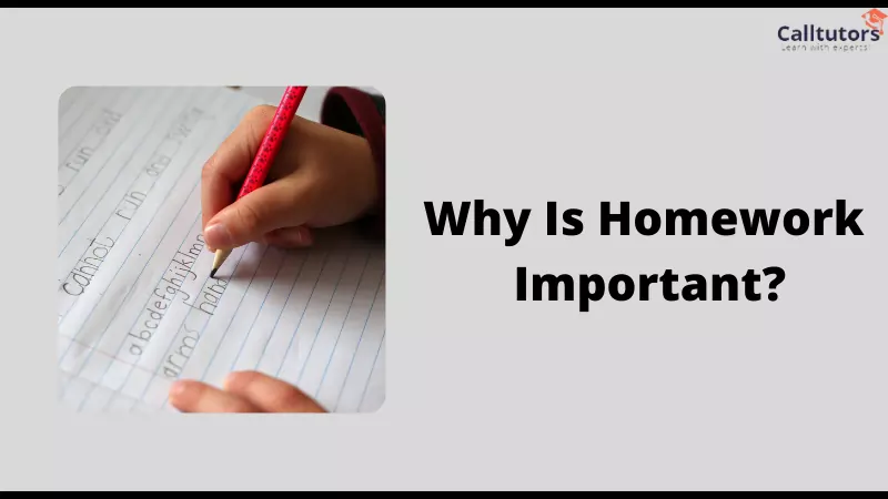 why is homework important